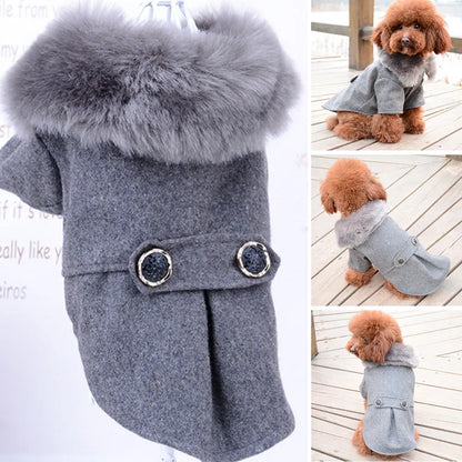 grey fur collared pet jacket on a white background , three insert images of a small brown Poodle wearing the jacket in an outdoor setting