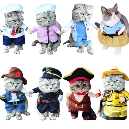 Eight different costumes being worn by cats, white background 