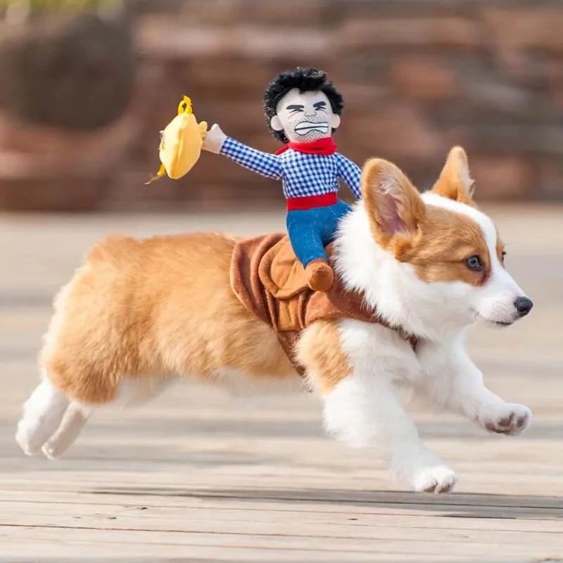 corgi dog runs wearing a cowboy riding costume in an outdoor setting