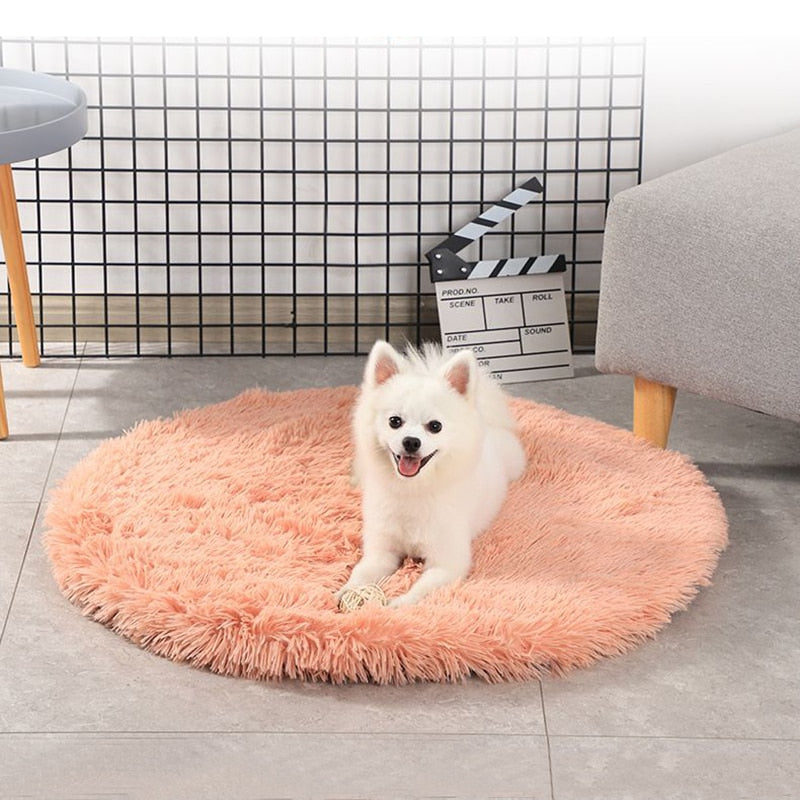 A small white dog lies on an apricot colored velvet dream pet bed, with a chew toy at his feet, in a home setting. 