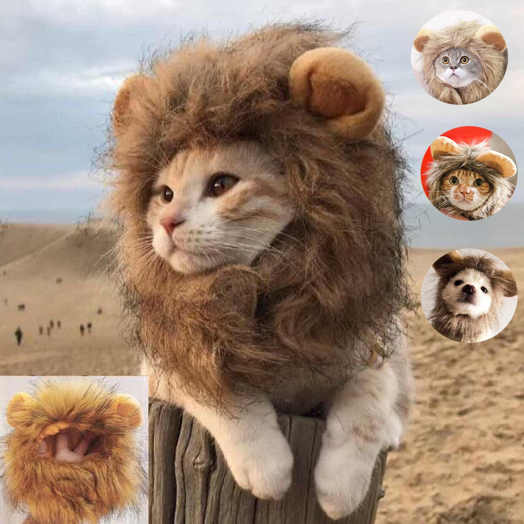 main image, tabby cat wearing lion costume, sitting on fence post, sandy scene in background. Insets show different dogs and cats wearing the costume, and a person's hand inside the costume to display face hole. 