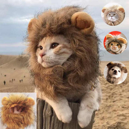 main image, tabby cat wearing lion costume, sitting on fence post, sandy scene in background. Insets show different dogs and cats wearing the costume, and a person's hand inside the costume to display face hole. 