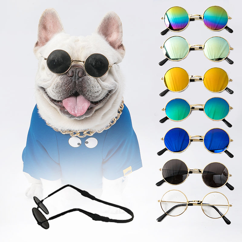 White bull dog wearing a blue tee shirt and black sunglasses, with a gold chain around his neck. There are seven sunglasses pictured to the right of the image, showing different styles and colors. Bottom image shows sunglasses, side view with strap. 