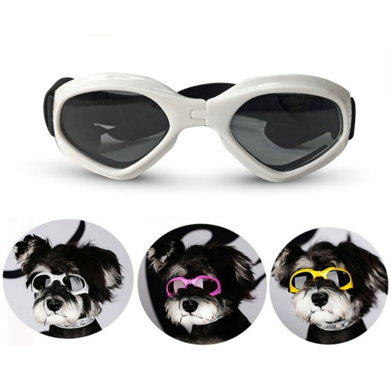 White background, white rimmed dog sunglasses with dark lenses. Three images inserted at bottom of page - the same small fluffy dog wearing white sunglasses, pink and yellow sunglasses. 