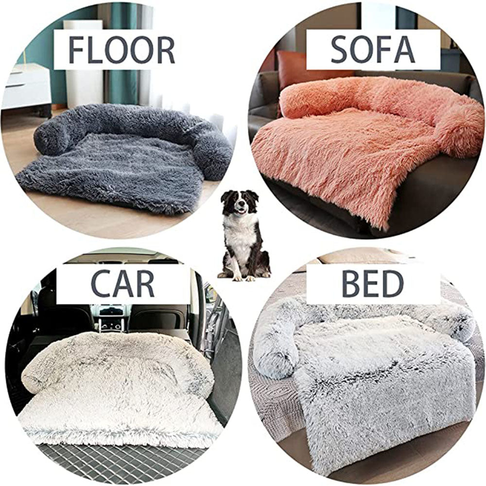 four insets on white background - 1. floor - dark grey sofa on the floor in home setting; 2. sofa - apricot colored sofa bed positioned on the coach; 3. light colored sofa in the back of a vehicle and 4. bed - a light colored sofa pictured on a bed. A long haired dog is positioned in the middle of the image insets. 