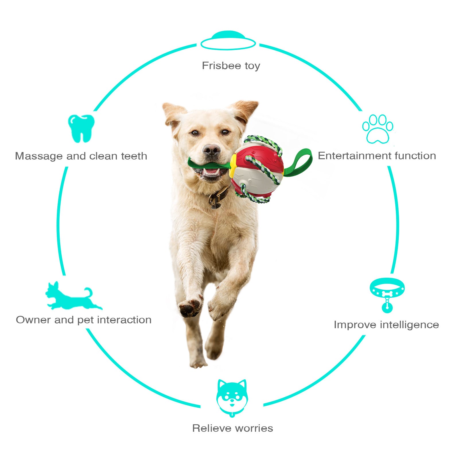 white background. dog running with toy in mouth. diagram surround the image showing features and benefits of the toy. 