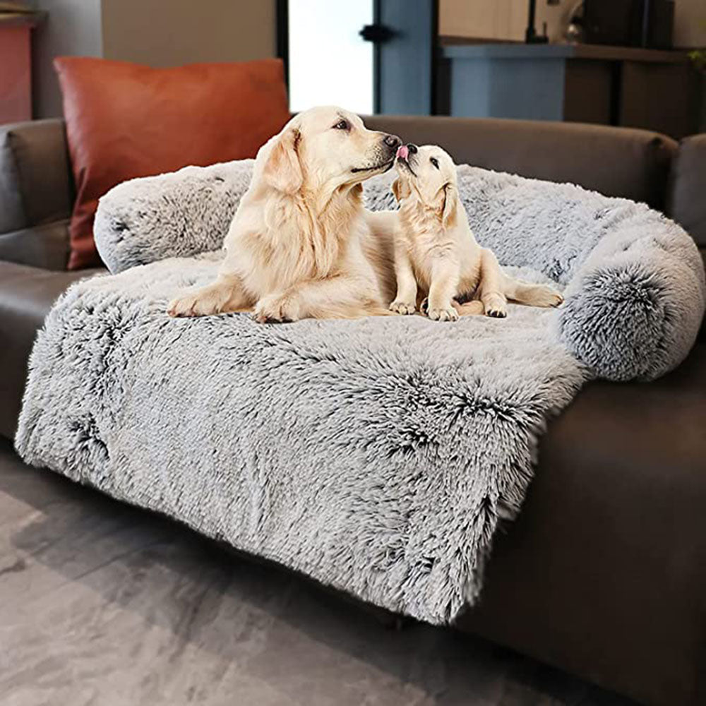 two dogs sitting on a grey pet sofa which is on the coach. 