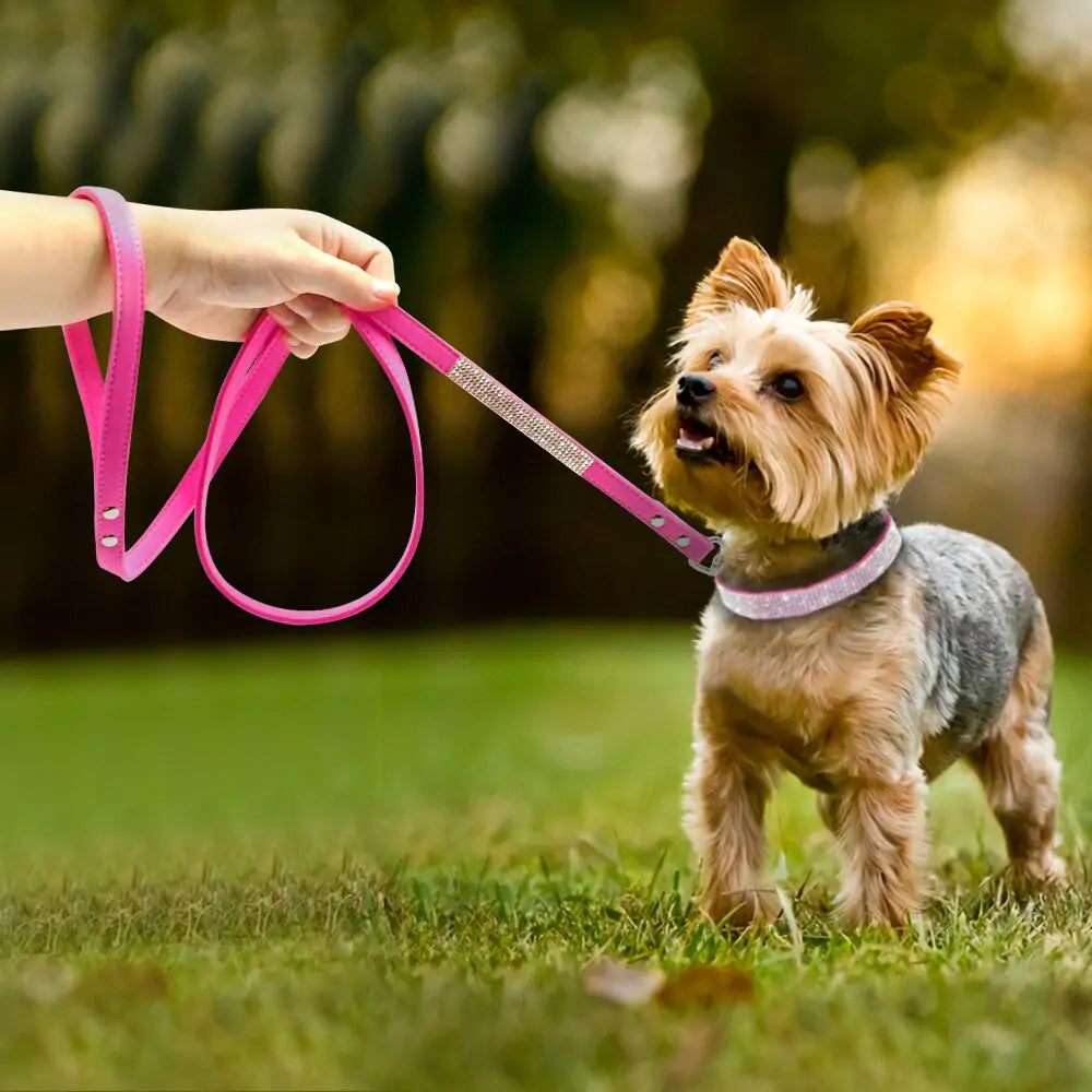 lifestyle shot of Yorkshire Terrier wearing a pink collar and leash set in an outdoor setting. 