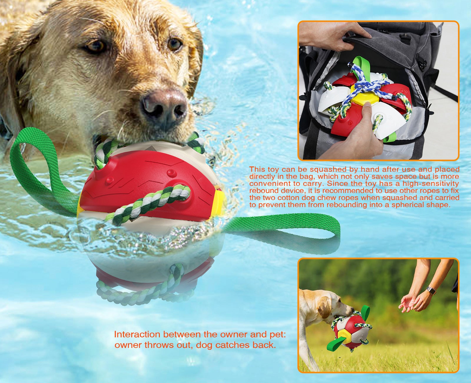 Main image shows a dog swimming in the water with toy in mouth. Inset shows the toy folding into a backpack and final inset shows dog retrieving toy to person. 