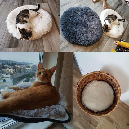 split image - top left, a white and tabby cat sleeps in a white bed on floorboards. Top right image shows the same cat in the same bed with a larger dark grey bed next to it on the floor, showing size difference, bottom left image is of a cat lying on the bed on top of a suspended window seat, with views over a city. Bottom right image shows the bed inside a wash basket in a home setting. 