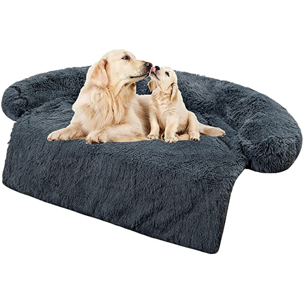 two dogs on a dark grey sofa bed, white background
