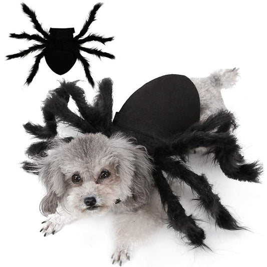 Main image of silver dog wearing black spider costume. inset of black spider costume from above is at top left of main image. white background. 