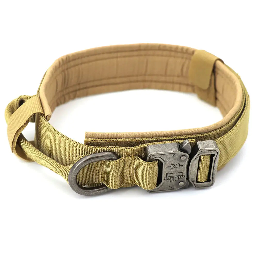 brown secure dog collar