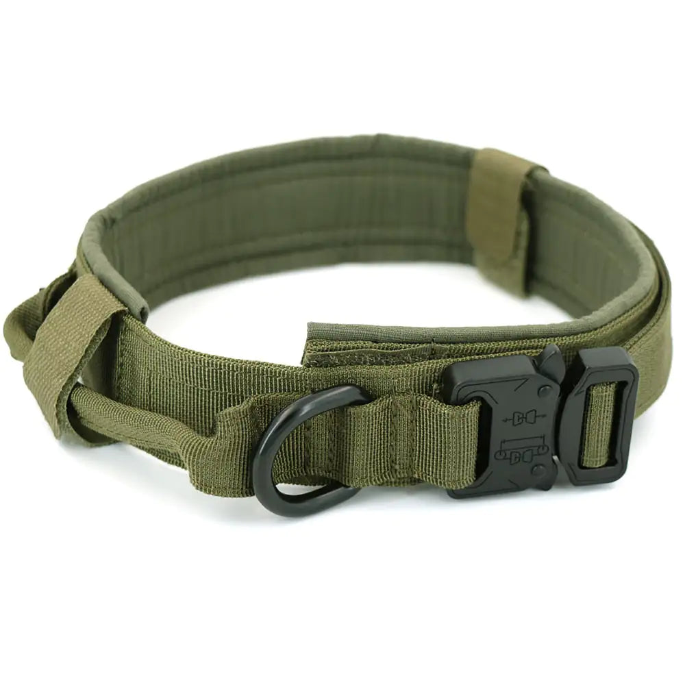 green secure dog collar