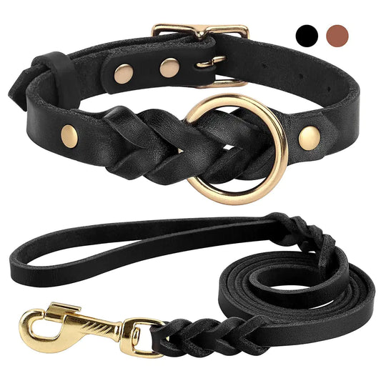 white background, black leather braided collar and leash set. 