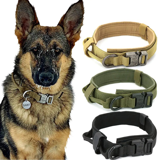 German Shepherd dog wearing a green collar with a tag that reads Saint. the three color varieties available are shown on the right of the image - brown, green and black. white background