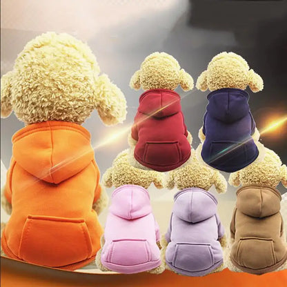 six different colored fleece hoodies on plush toys, displaying the back view of the hoodie, pocket and hood. multi color background