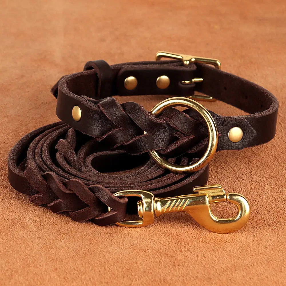 brown leather collar and leash set on a light brown hide of leather. 