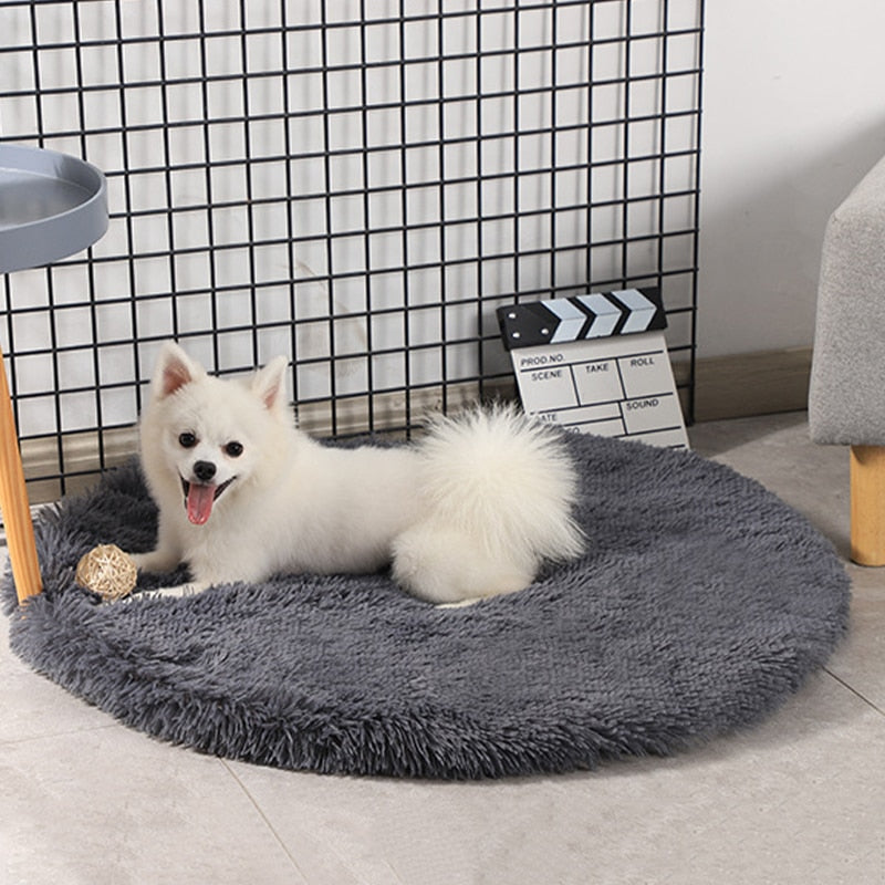 A small white dog lies on a dark grey velvet dream pet bed, with a chew toy at his feet, in a home setting. 