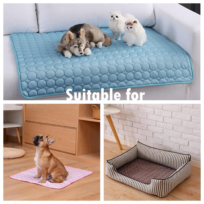 split image, top image shows a cat and two dogs on a blue sofa blanket on a white coach in a home setting. Bottom left image shows a French Bulldog sitting on a pink blanket on the floor in a home setting, bottom right image shows a brown blanket inside a rectangle dog bed on the floor in a home setting. 