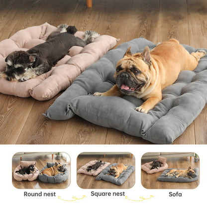 Main image shows a French Bulldog and a Schnauzer lying on two different beds on the floor in a home setting. Three insets below show the different shapes - round, square and sofa. 