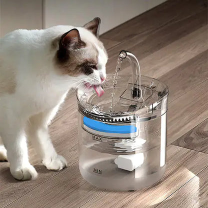 cat drinking water from the water fountain in a home setting. 