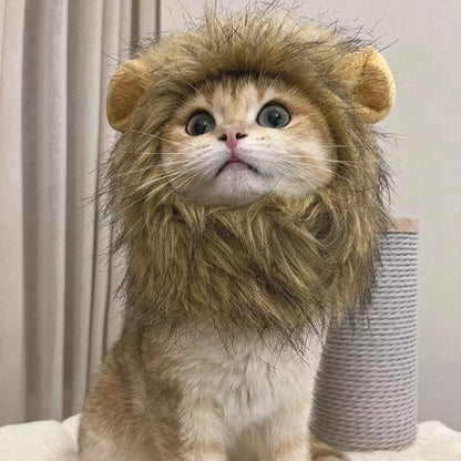 tabby cat wearing lion costume in home setting. 