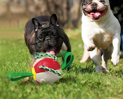 two French bulldogs play with the toy in an outdoor setting. 