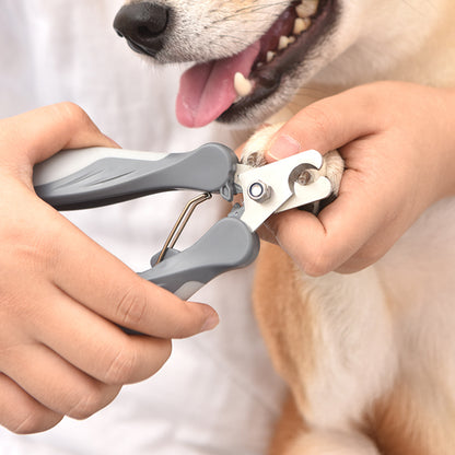 close up image of a grey set of nail clippers in use on a Corgi dog. 