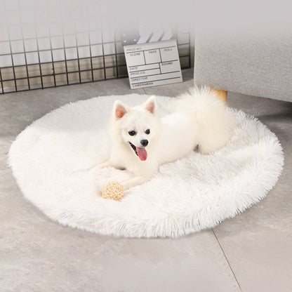 A small white dog lies on a white velvet dream pet bed, with a chew toy at his feet, in a home setting. 