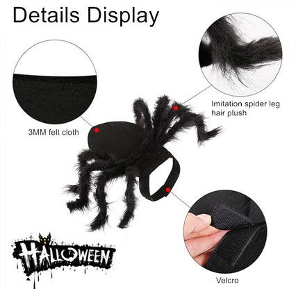 main image shows black spider costume from above with red dots indicating features, which are directed with arrows to three insets showing 3mm felt cloth, imitation spider leg and velcro attachment. There is a Halloween logo in the corner of the image, white background. 