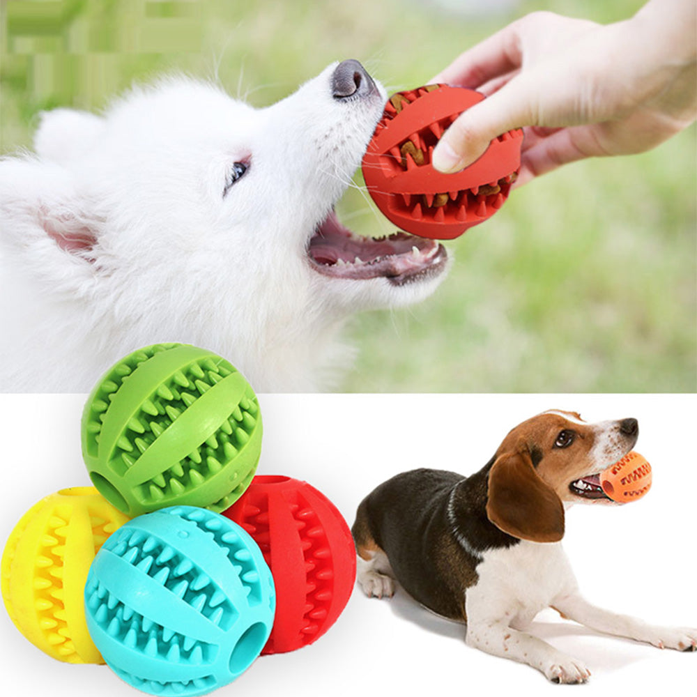 split image. top image shows a Samoyed dog with a red treat toy in it's mouth. Bottom images shows a beagle dog with an red treat toy in mouth, four colored balls displaying available colors of red, yellow, blue, green. 