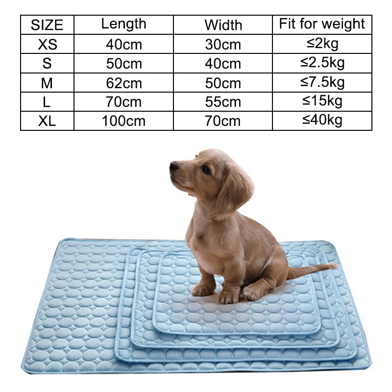 white background, dachshund puppy sitting on the smallest mat on top of a nest of blankets, showing size difference.  size chart. 