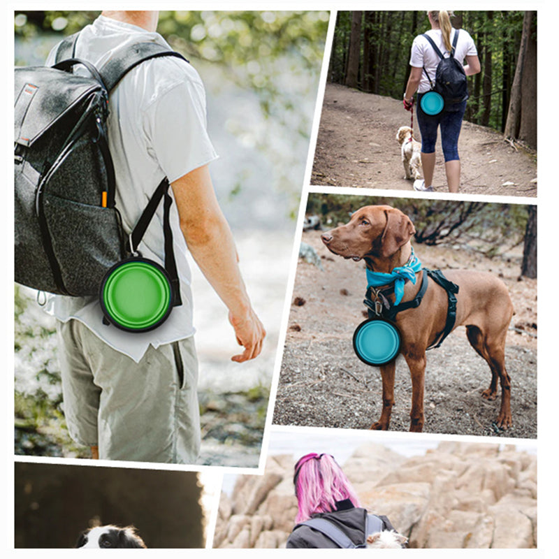 split image showing different outdoor settings - a woman walking a small white dog with a backpack on and a blue collapsible bowl attached to her backpack, waling down a forest track. Second image shows a man with a green bowl attached to a backpack. Third image is of a short haired pointer, wearing a blue bandana and harness, with a blue bowl attached to the harness. 