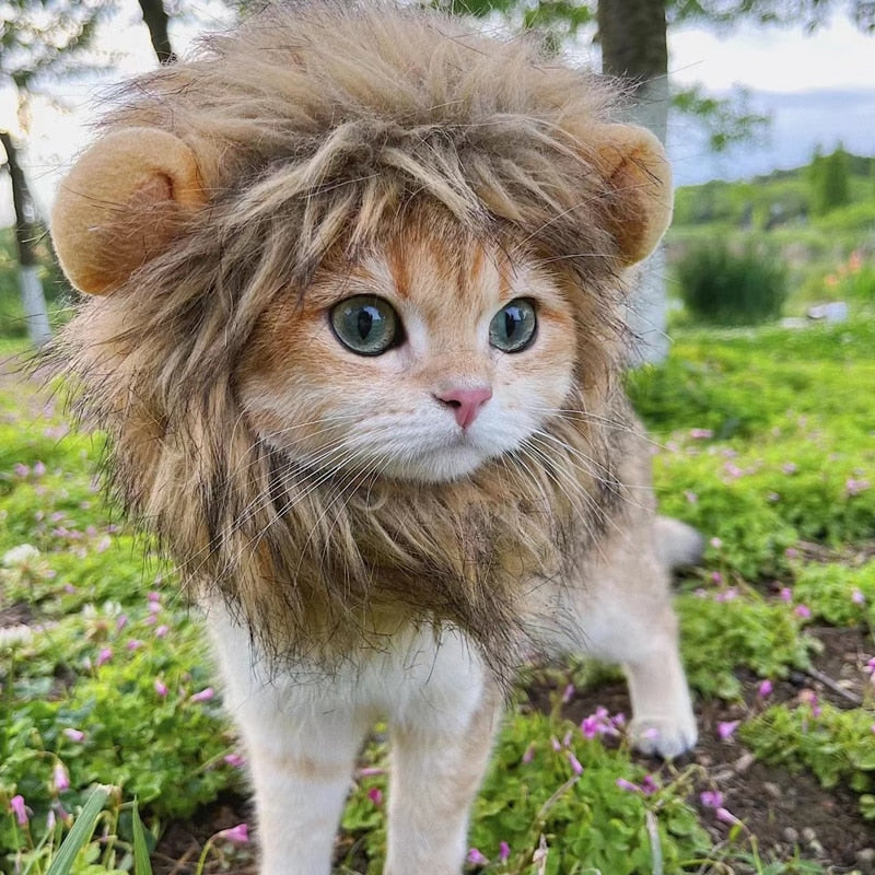 Tabby cat wearing lion costume in outdoor setting. 