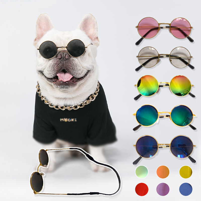 White bull dog wearing a black tee shirt and black sunglasses, with a gold chain around his neck. There are five sunglasses pictured to the right of the image, showing different styles and colors. Bottom image shows sunglasses, side view with strap.