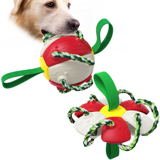 white background, golden retriever with toy in mouth, toy is red, yellow, white and green. 