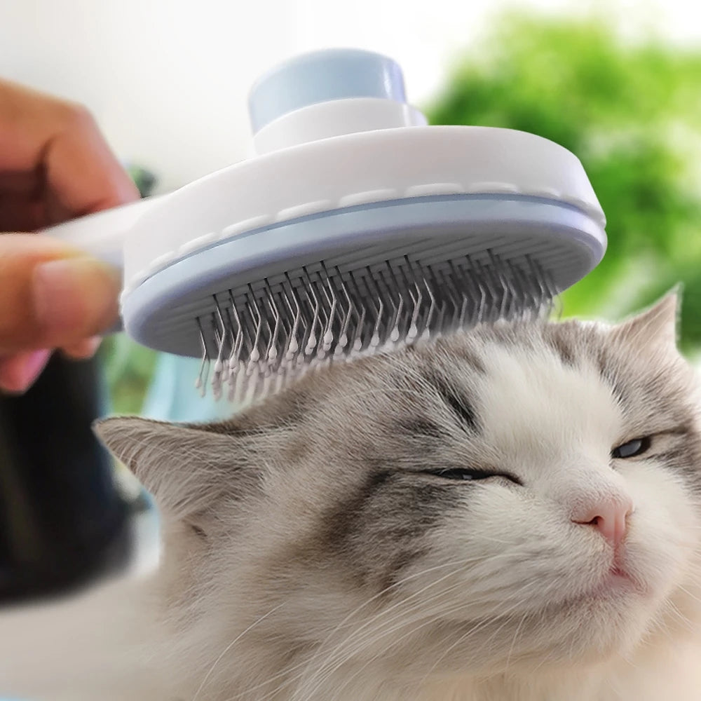 close up image of silver and white fluffy cat having head brushed in an outdoor setting. brush is blue and white. 