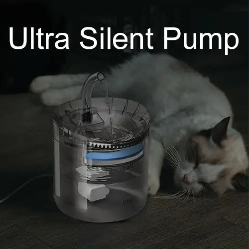 dark image depicting night time, with cat asleep on the floor next to the water fountain, text reads ultra silent pump