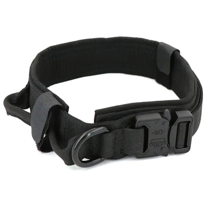 black secure dog collar