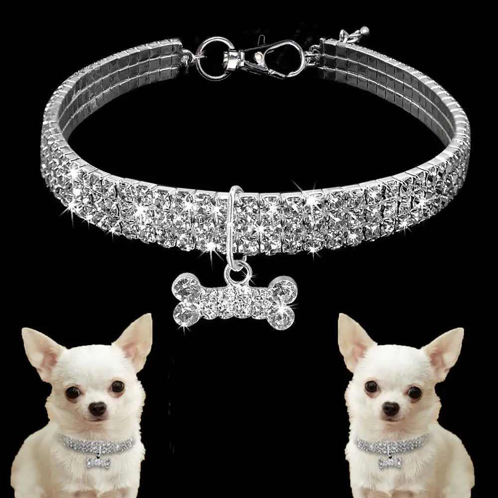 Main image, black background, bone pendant collar. Mirror image of a Chihuahua wearing a collar are at the foot of the page. 