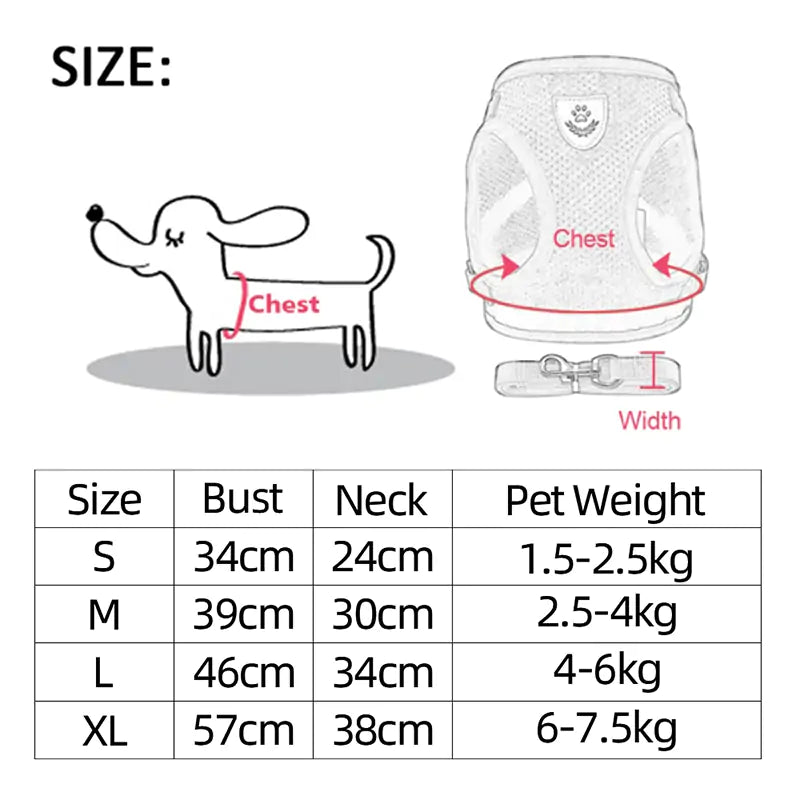 size chart on white background